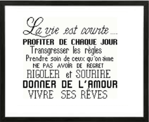 Affiche « la vie est courte »