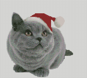 Chat de noël